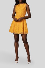 dress hire birthday AERE - Fit And Flare Lace Mini Dress