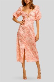 Pasduchas Aviary Midi pink